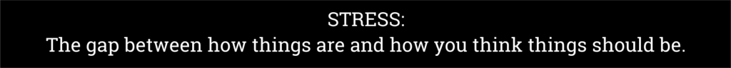 Definition of STRESS