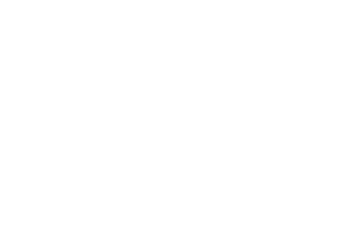 Lead Life Well