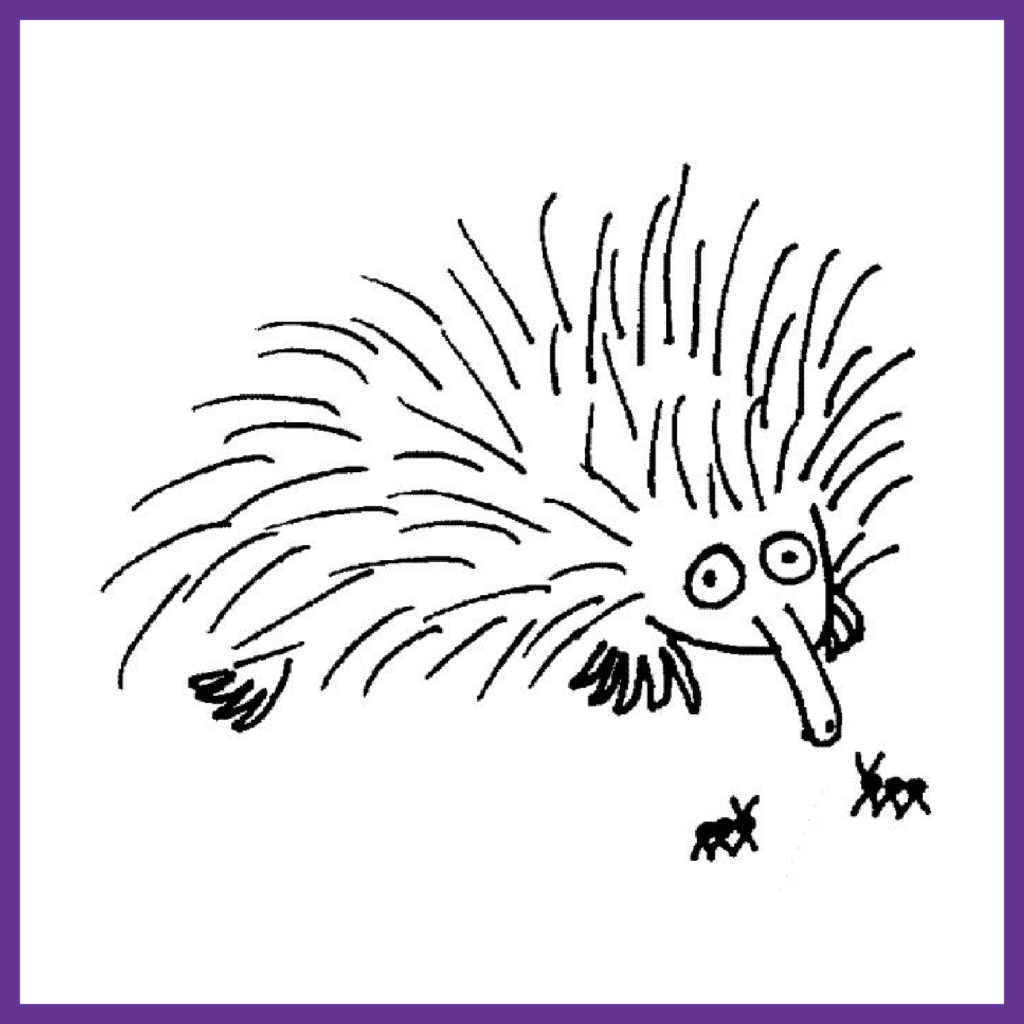 Porcupine-New