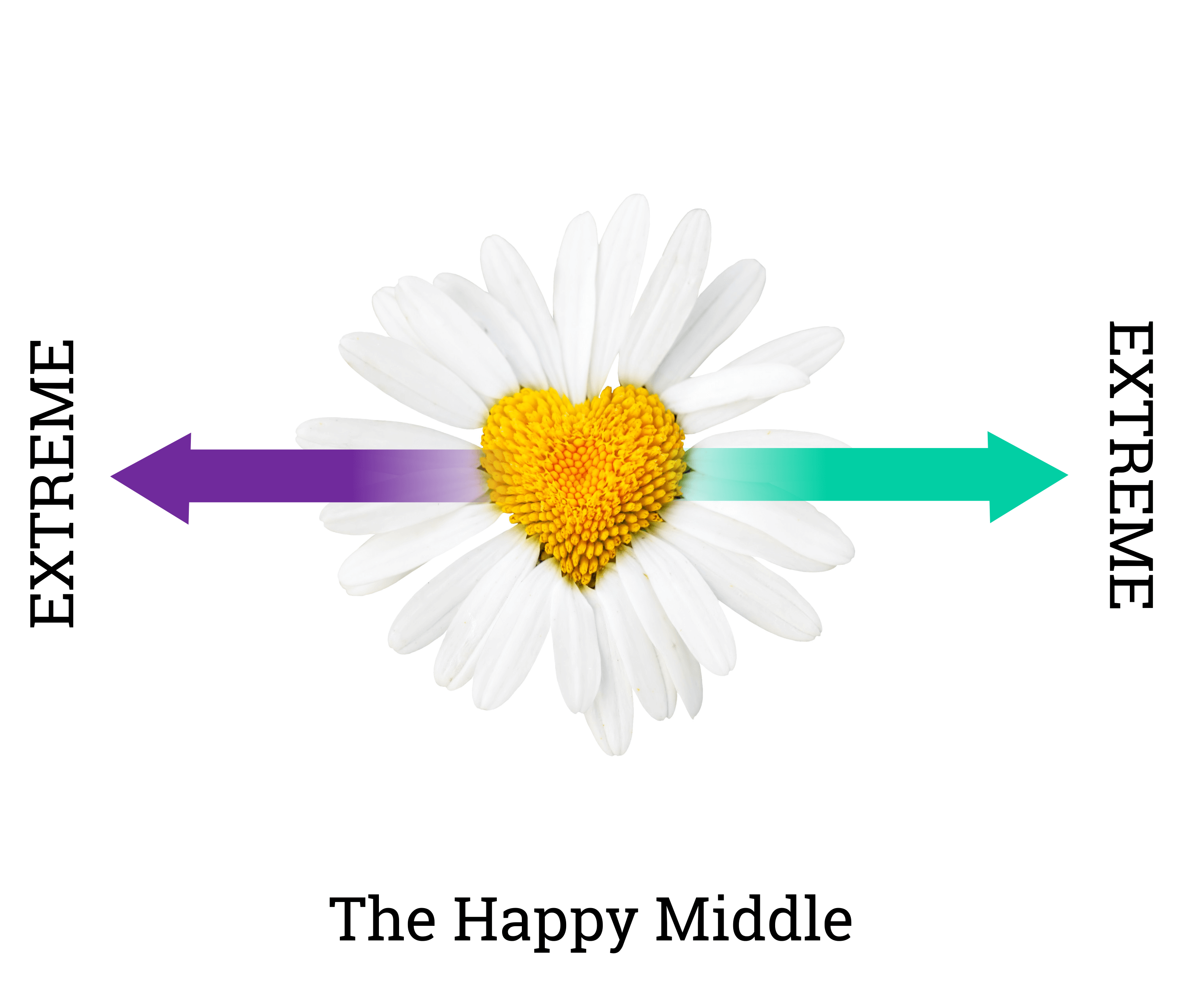 The-Happy-Middle