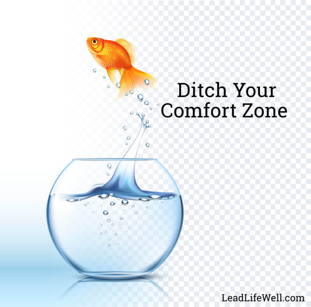 Ditch Your Comfort Zone